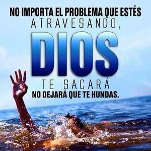 Meet your Posher, Darbey